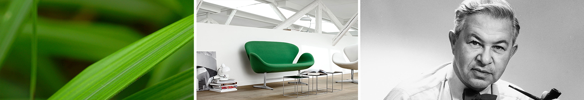 创意火狐官方网站 火狐HUOHU（中国） 雅各布森