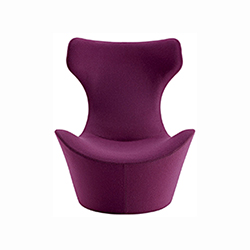 大凤碟扶手椅 CG-B012-1