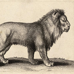 王-原创定制壁画 CG-NDC5028