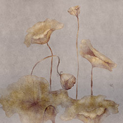 荷韵-原创定制壁画 CG-NDC5125