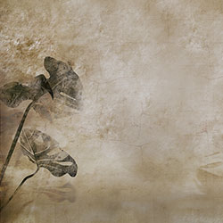 龟背竹-原创定制壁画 CG-NDC5169