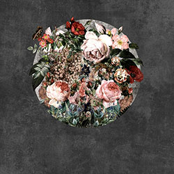 华丽-原创定制壁画 CG-NDC5234