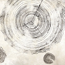 万物生长-原创定制壁画 CG-NDC5047