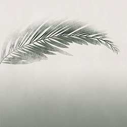 棕榈-原创定制壁画 CG-NDC5162
