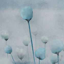 罂粟-原创定制壁画 CG-NDC5175