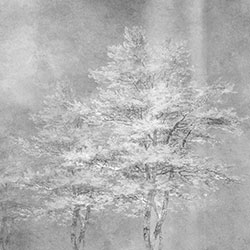 雾凇-原创定制壁画 CG-NDC5221