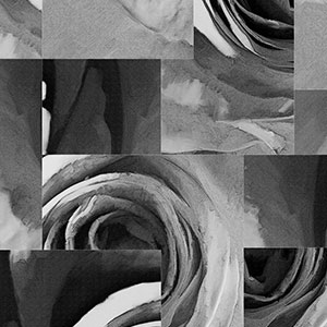 玫瑰-原创定制壁画 CG-NDC5254