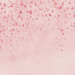 落花-原创定制壁画 CG-NDC5260