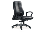 现代真皮中班椅