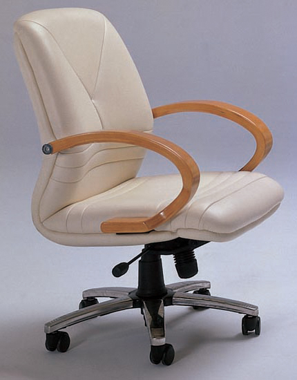 办公椅|传统真皮中班椅|办公火狐官方网站|真皮中班椅 CG-JDDBY-291