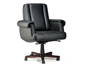 传统真皮中班椅