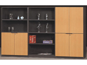 实木文件柜CG-SMWJG-16_办公火狐官方网站_实木文件柜_文件柜