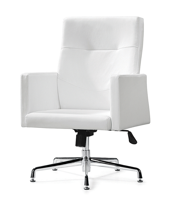 办公椅|现代真皮会议椅|办公火狐官方网站|现代真皮会议椅 CG-EF0368HAL-H