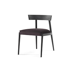 Lizzie休闲椅 CG-B119-2