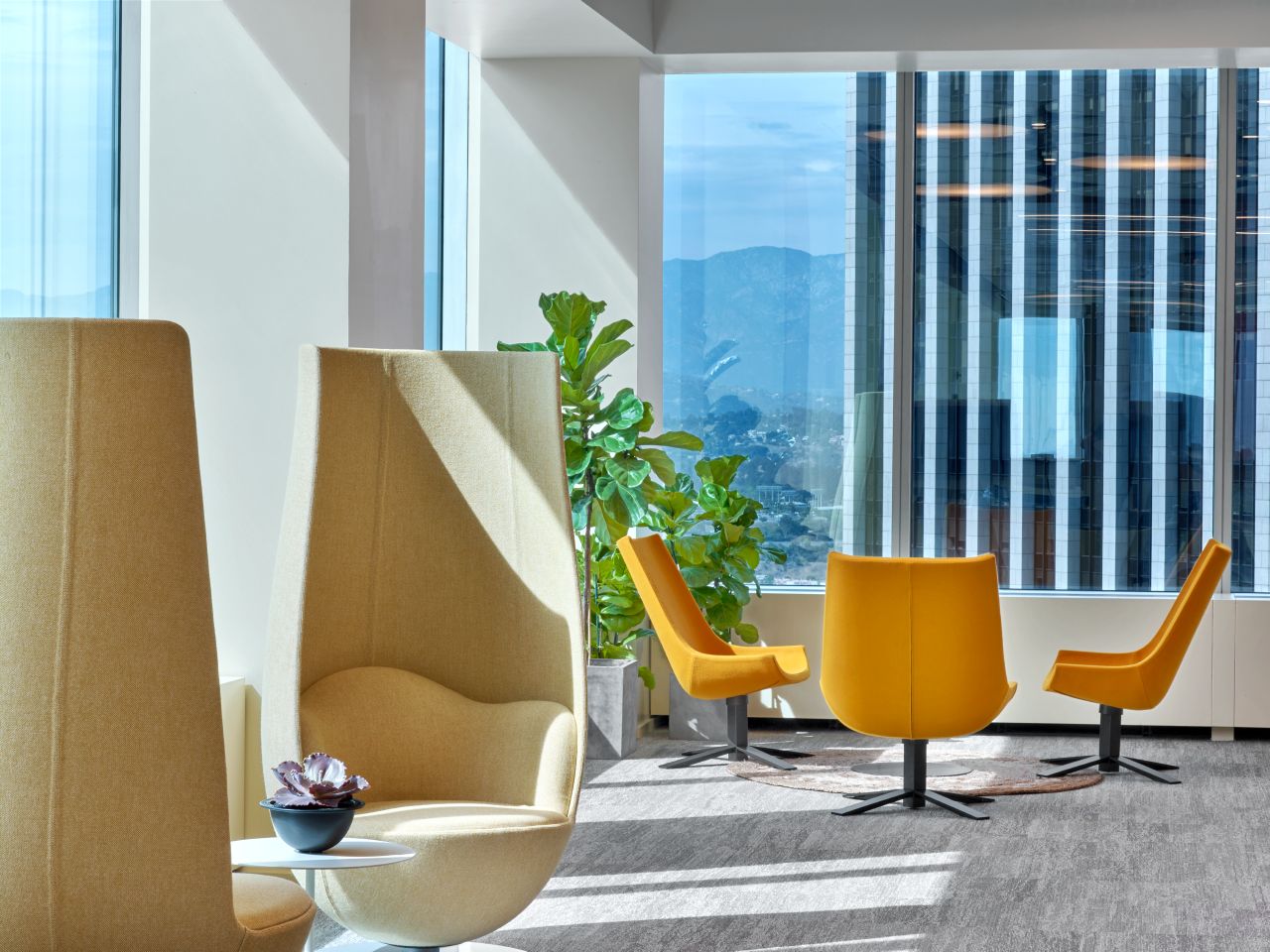 创意火狐官方网站 - 坐具|休闲椅|办公火狐官方网站|火狐HUOHU（中国）火狐官方网站|郁金香