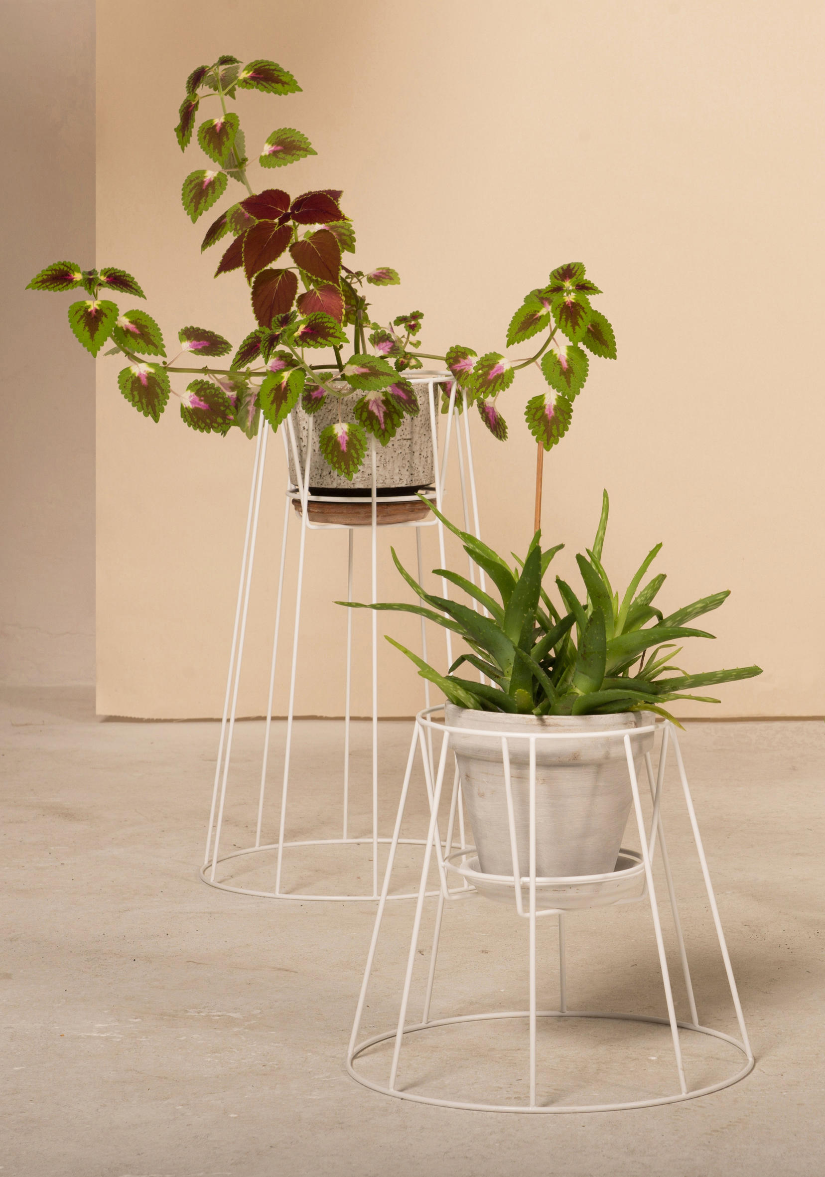 创意火狐官方网站 - 附件|花器|办公火狐官方网站|火狐HUOHU（中国）火狐官方网站|西布莉植物架