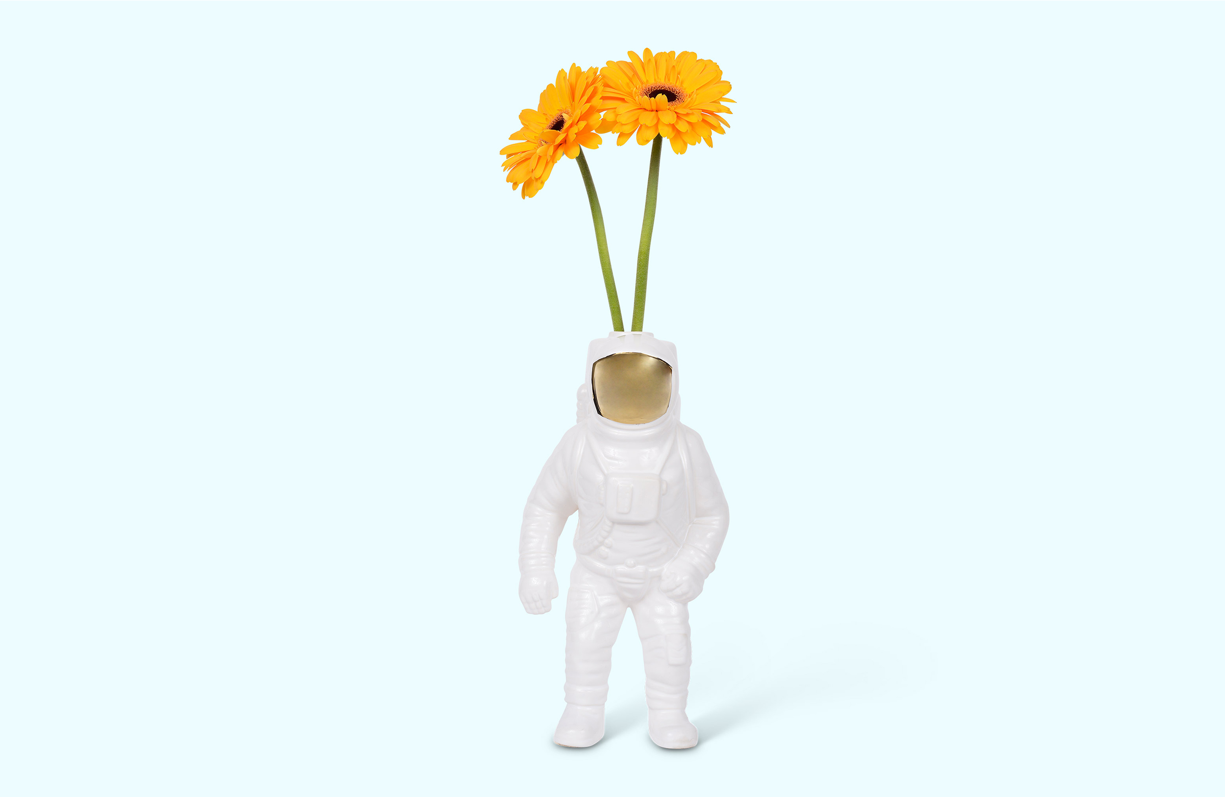 创意火狐官方网站 - 附件|花器|办公火狐官方网站|火狐HUOHU（中国）火狐官方网站|宇航员花瓶