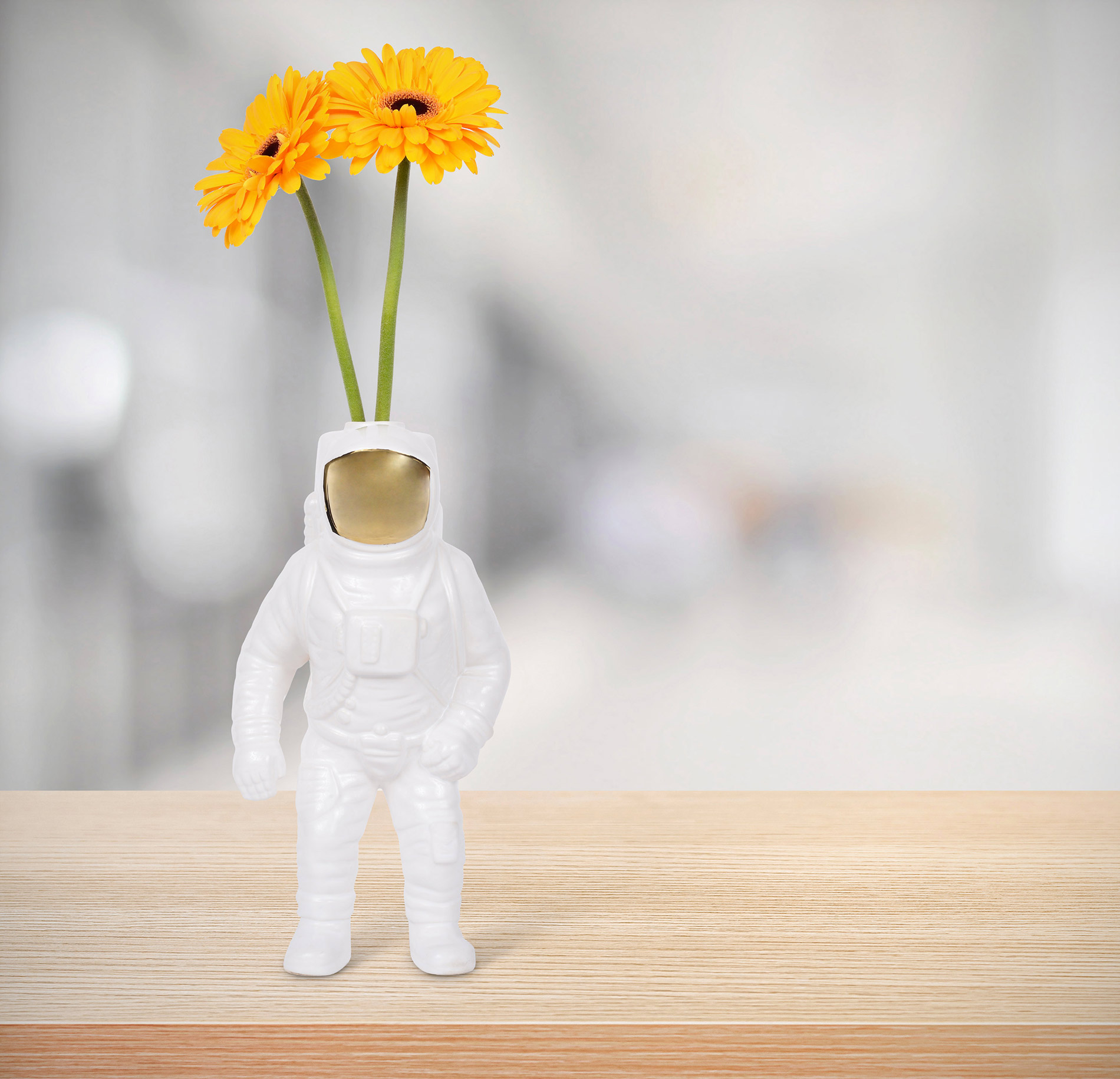 创意火狐官方网站 - 附件|花器|办公火狐官方网站|火狐HUOHU（中国）火狐官方网站|宇航员花瓶