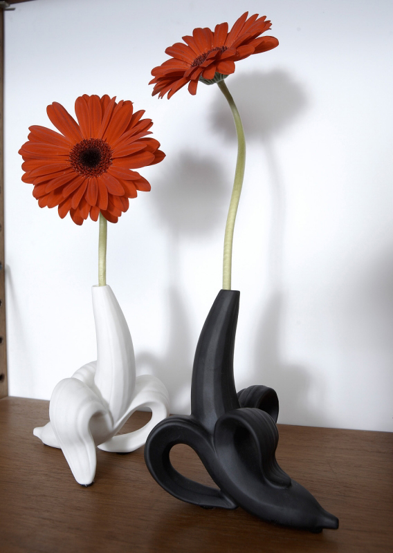 创意火狐官方网站 - 附件|花器|办公火狐官方网站|火狐HUOHU（中国）火狐官方网站|香蕉芽花瓶