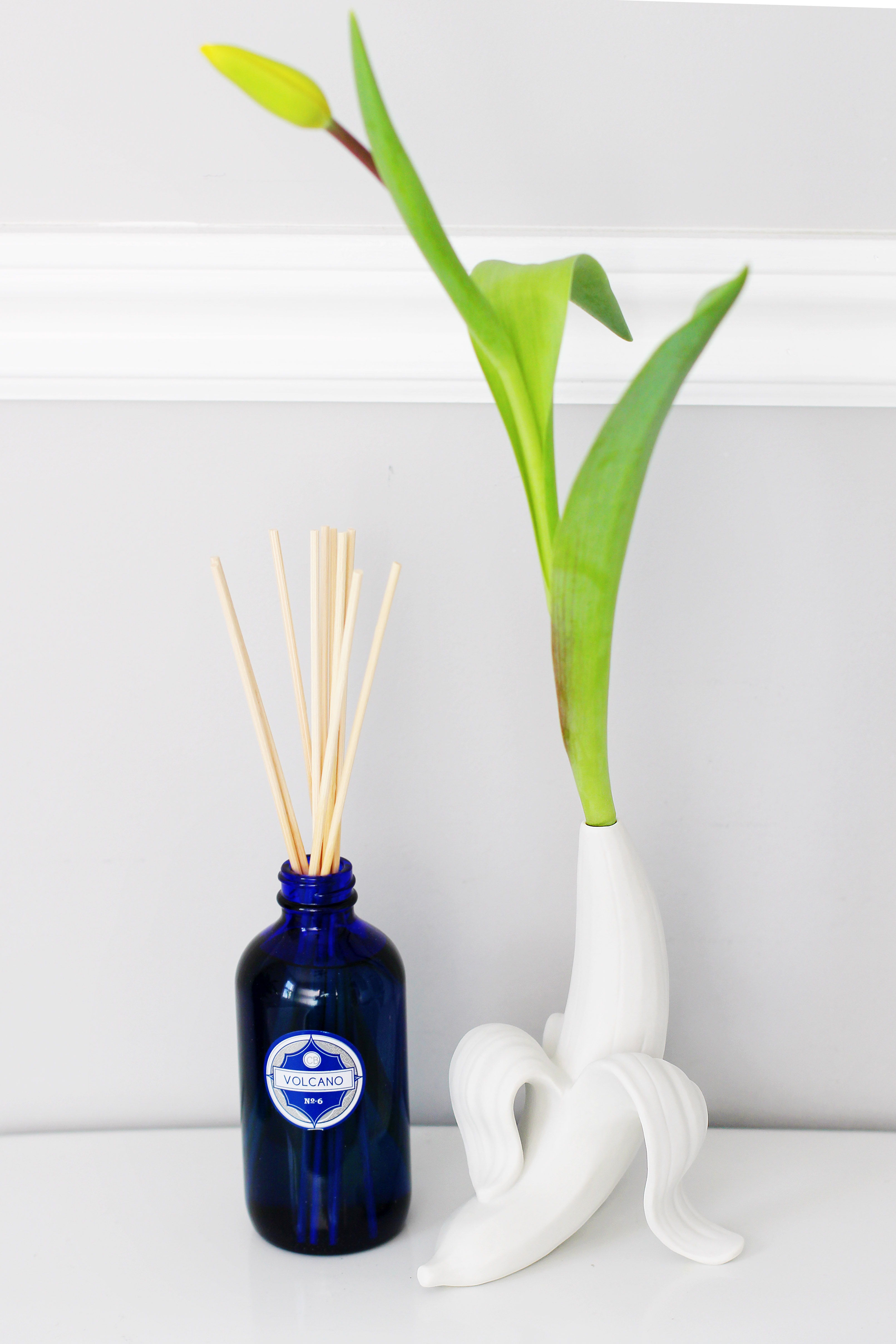 创意火狐官方网站 - 附件|花器|办公火狐官方网站|火狐HUOHU（中国）火狐官方网站|香蕉芽花瓶