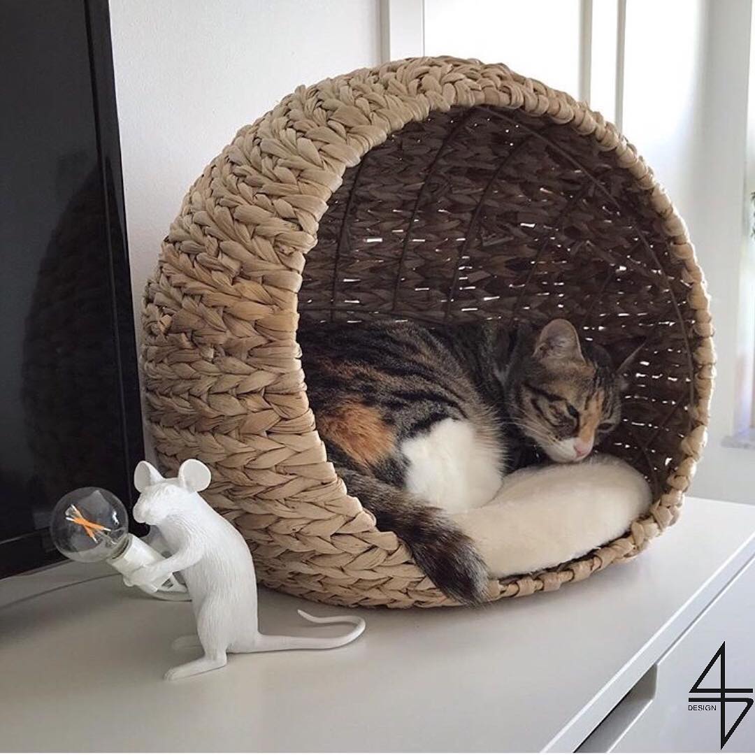 创意火狐官方网站 - 灯饰|台灯|办公火狐官方网站|火狐HUOHU（中国）火狐官方网站|鼠灯