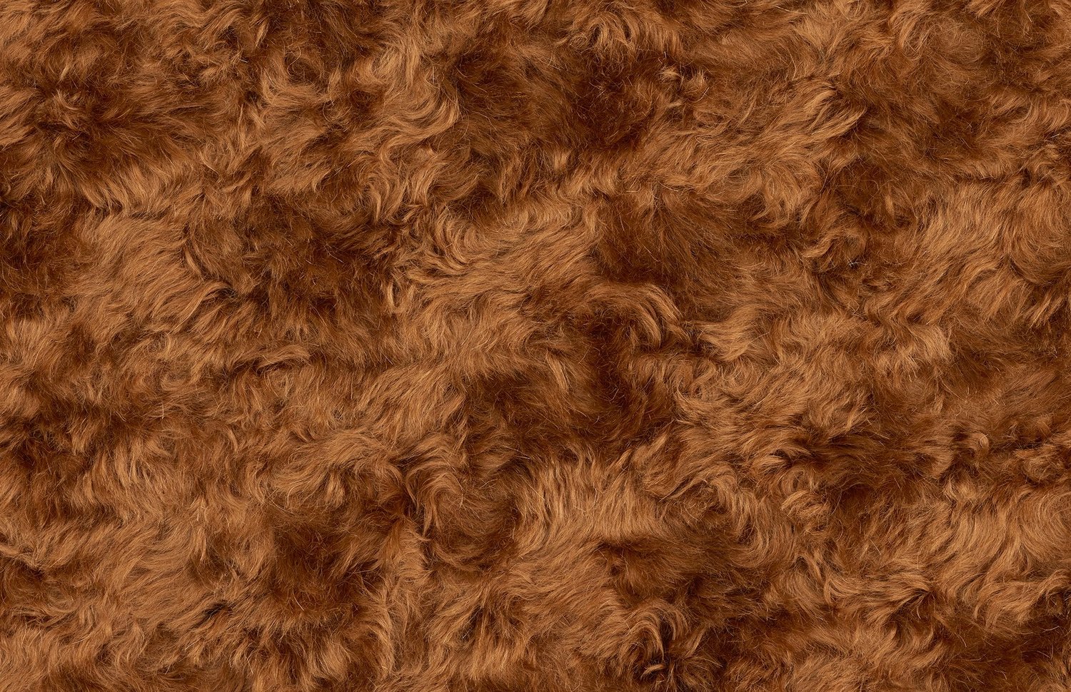 创意火狐官方网站 - 坐具|休闲椅|办公火狐官方网站|火狐HUOHU（中国）火狐官方网站|Uni休闲椅