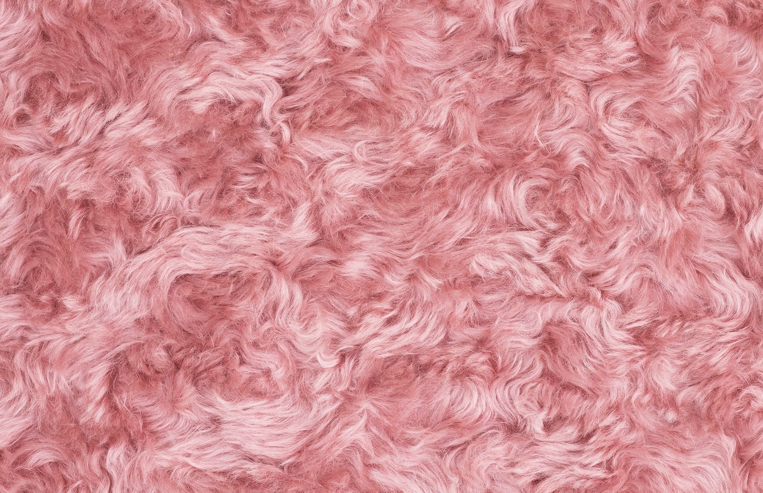 创意火狐官方网站 - 坐具|休闲椅|办公火狐官方网站|火狐HUOHU（中国）火狐官方网站|Uni休闲椅