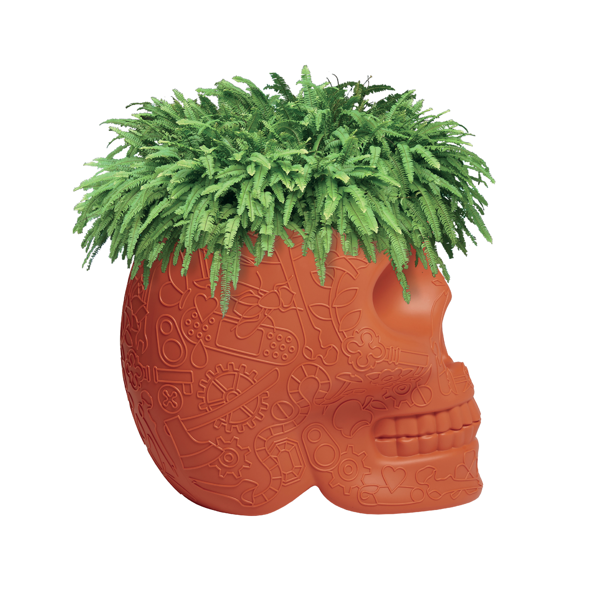 创意火狐官方网站 - 附件|花器|办公火狐官方网站|火狐HUOHU（中国）火狐官方网站|墨西哥花盆