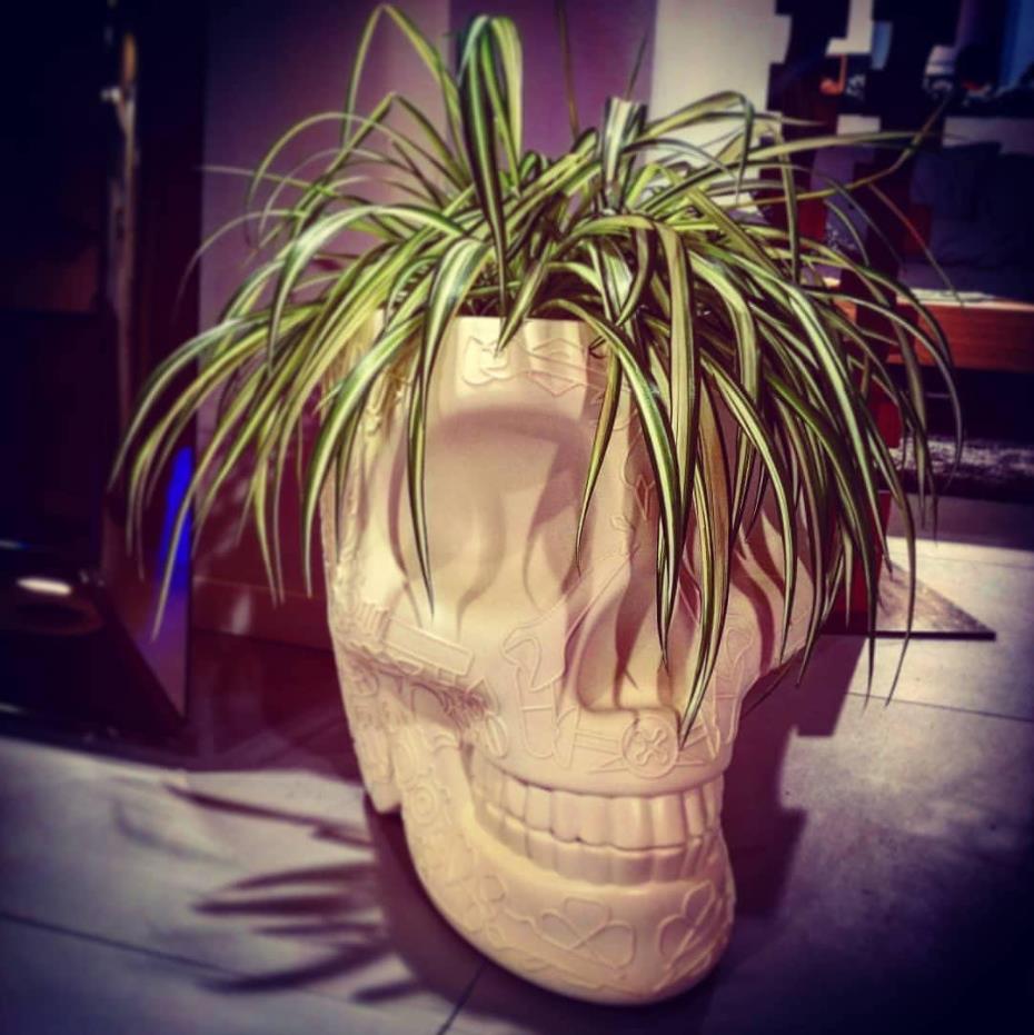 创意火狐官方网站 - 附件|花器|办公火狐官方网站|火狐HUOHU（中国）火狐官方网站|墨西哥花盆