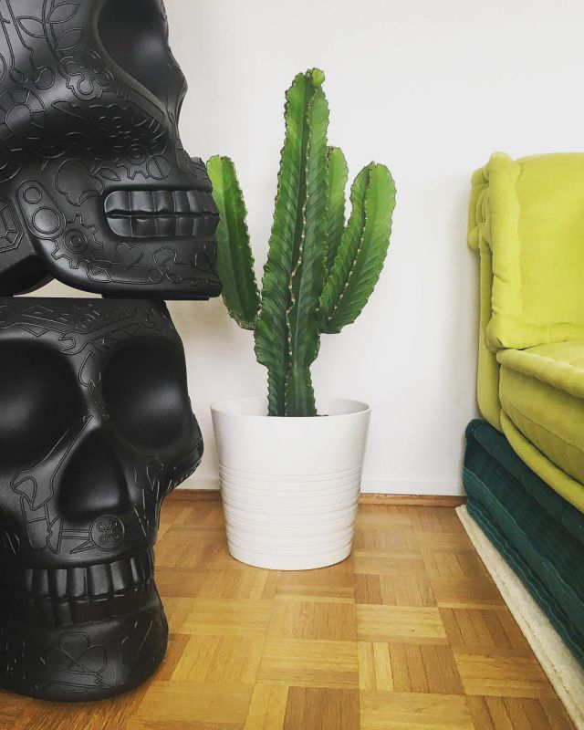 创意火狐官方网站 - 坐具|吧椅/凳子|办公火狐官方网站|火狐HUOHU（中国）火狐官方网站|墨西哥矮凳