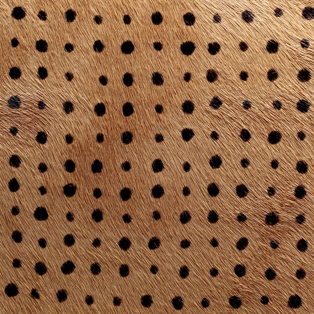 创意火狐官方网站 - 坐具|餐椅|办公火狐官方网站|火狐HUOHU（中国）火狐官方网站|Elliot餐椅