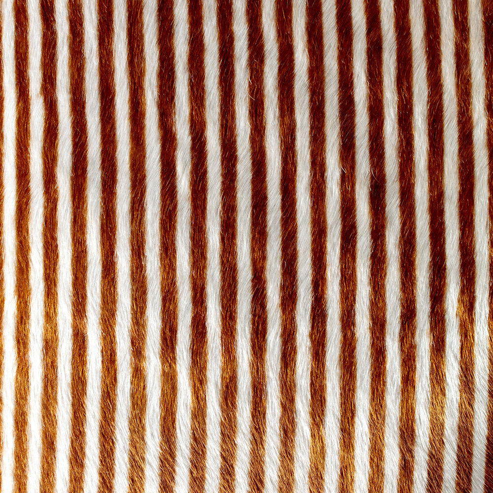 创意火狐官方网站 - 坐具|餐椅|办公火狐官方网站|火狐HUOHU（中国）火狐官方网站|Elliot餐椅