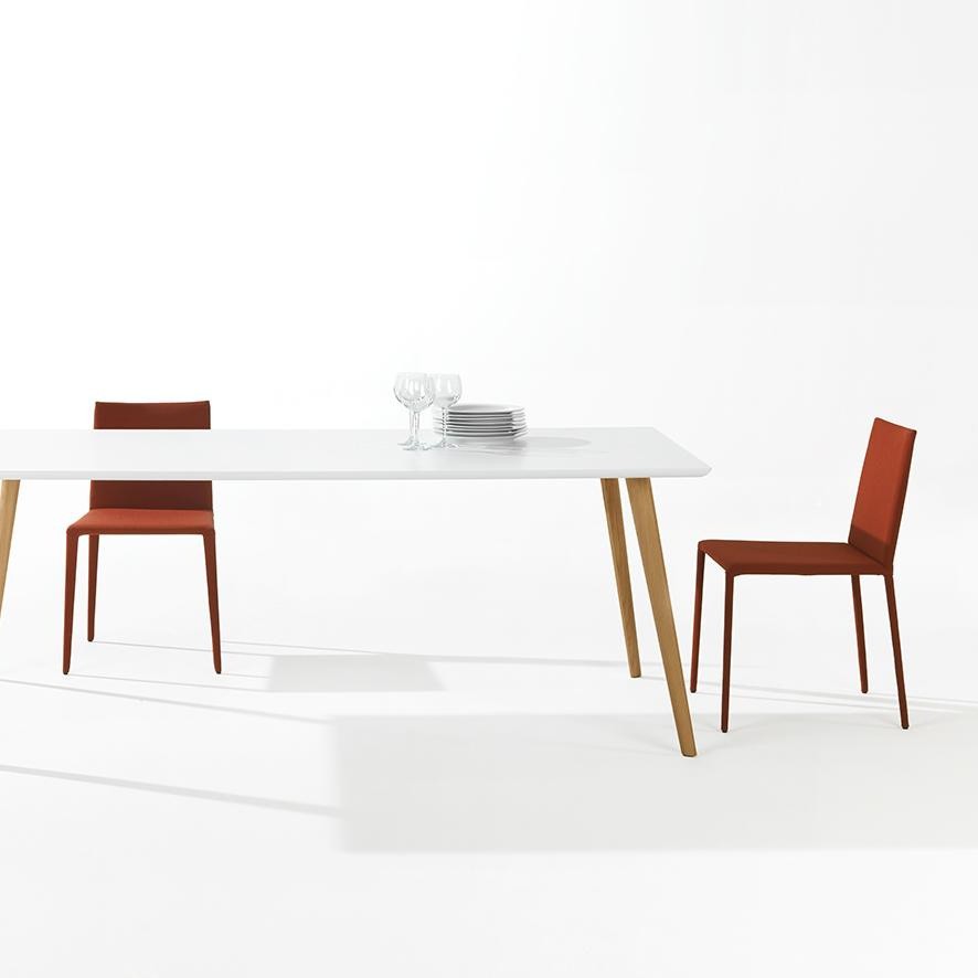 创意火狐官方网站 - 坐具|餐椅|办公火狐官方网站|火狐HUOHU（中国）火狐官方网站|Norma 餐椅/洽谈椅