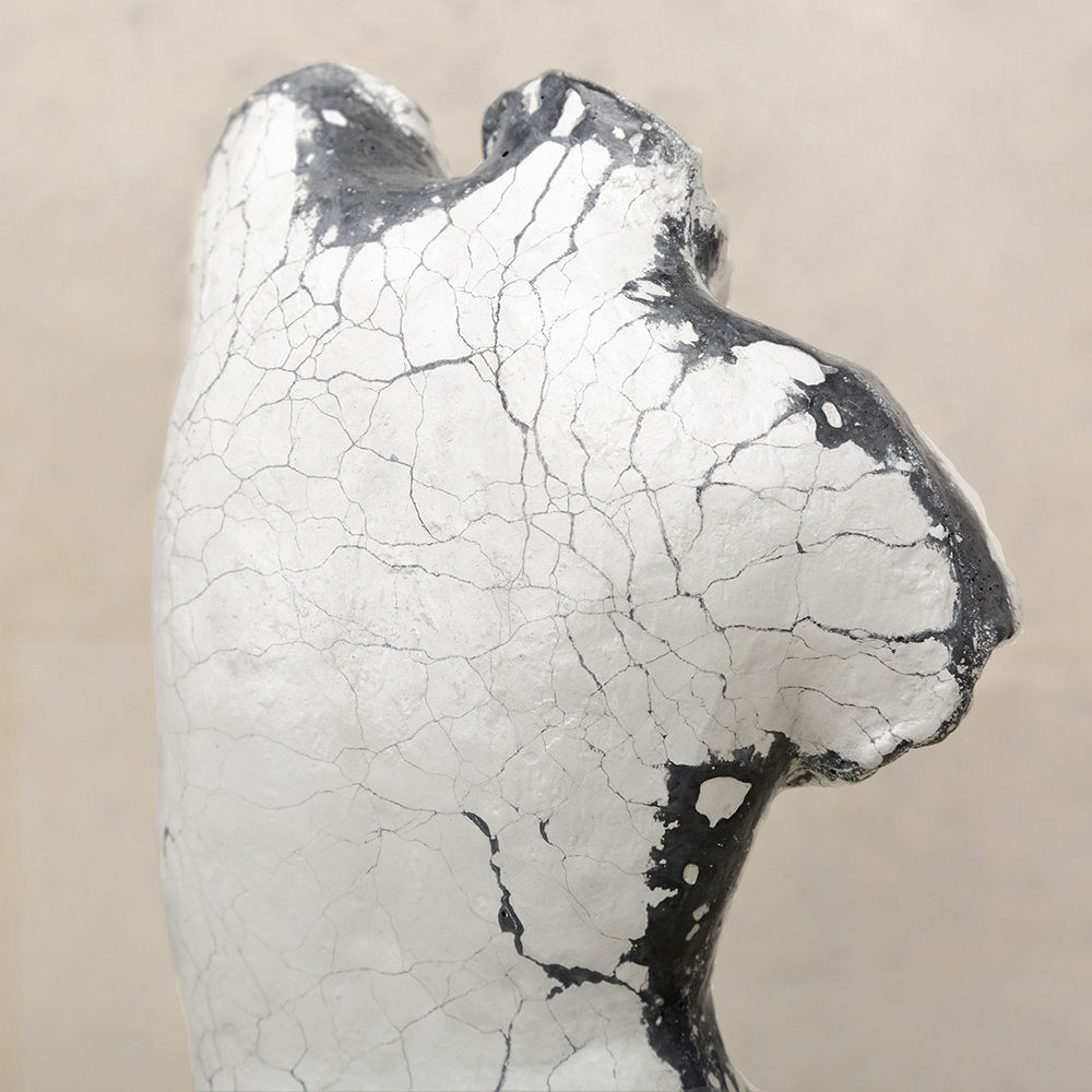 创意火狐官方网站 - 附件|饰品|办公火狐官方网站|火狐HUOHU（中国）火狐官方网站|Rarity女性躯干