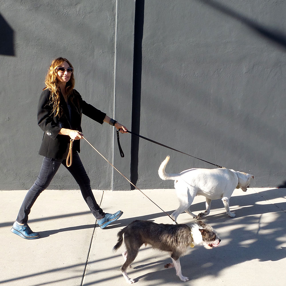 创意火狐官方网站 - 附件|饰品|办公火狐官方网站|火狐HUOHU（中国）火狐官方网站|Liaison狗绳