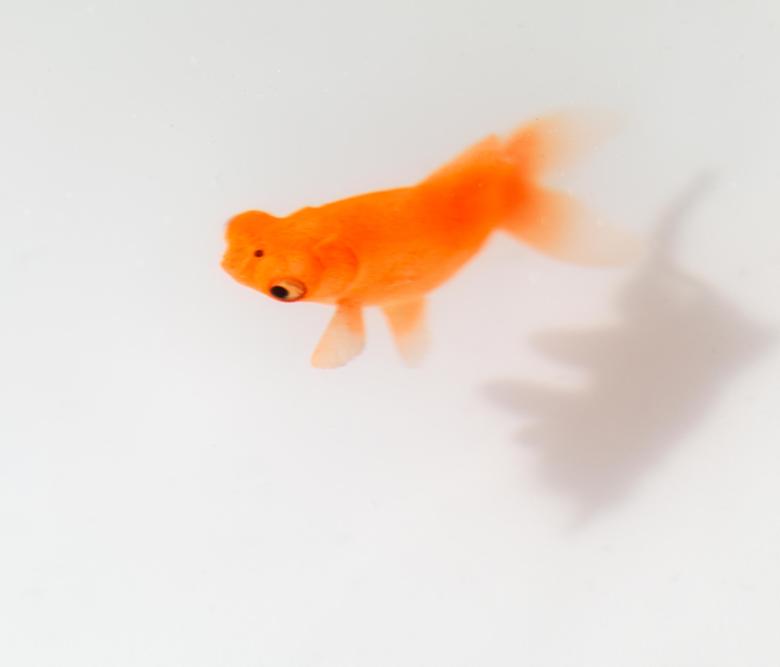 创意火狐官方网站 - 桌几|茶几/边几|办公火狐官方网站|火狐HUOHU（中国）火狐官方网站|Up in the Air 茶几/角几