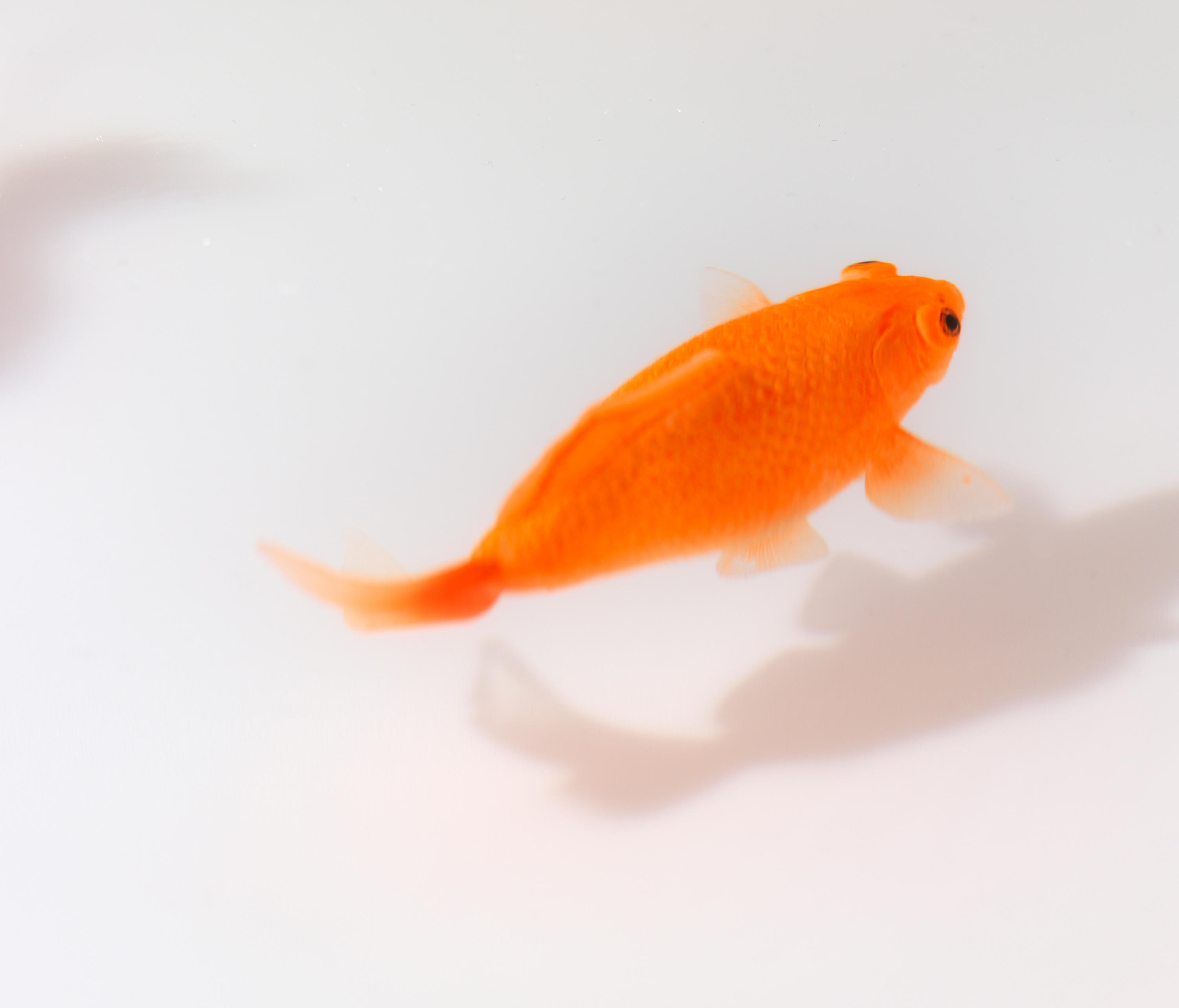 创意火狐官方网站 - 桌几|茶几/边几|办公火狐官方网站|火狐HUOHU（中国）火狐官方网站|Up in the Air 茶几/角几