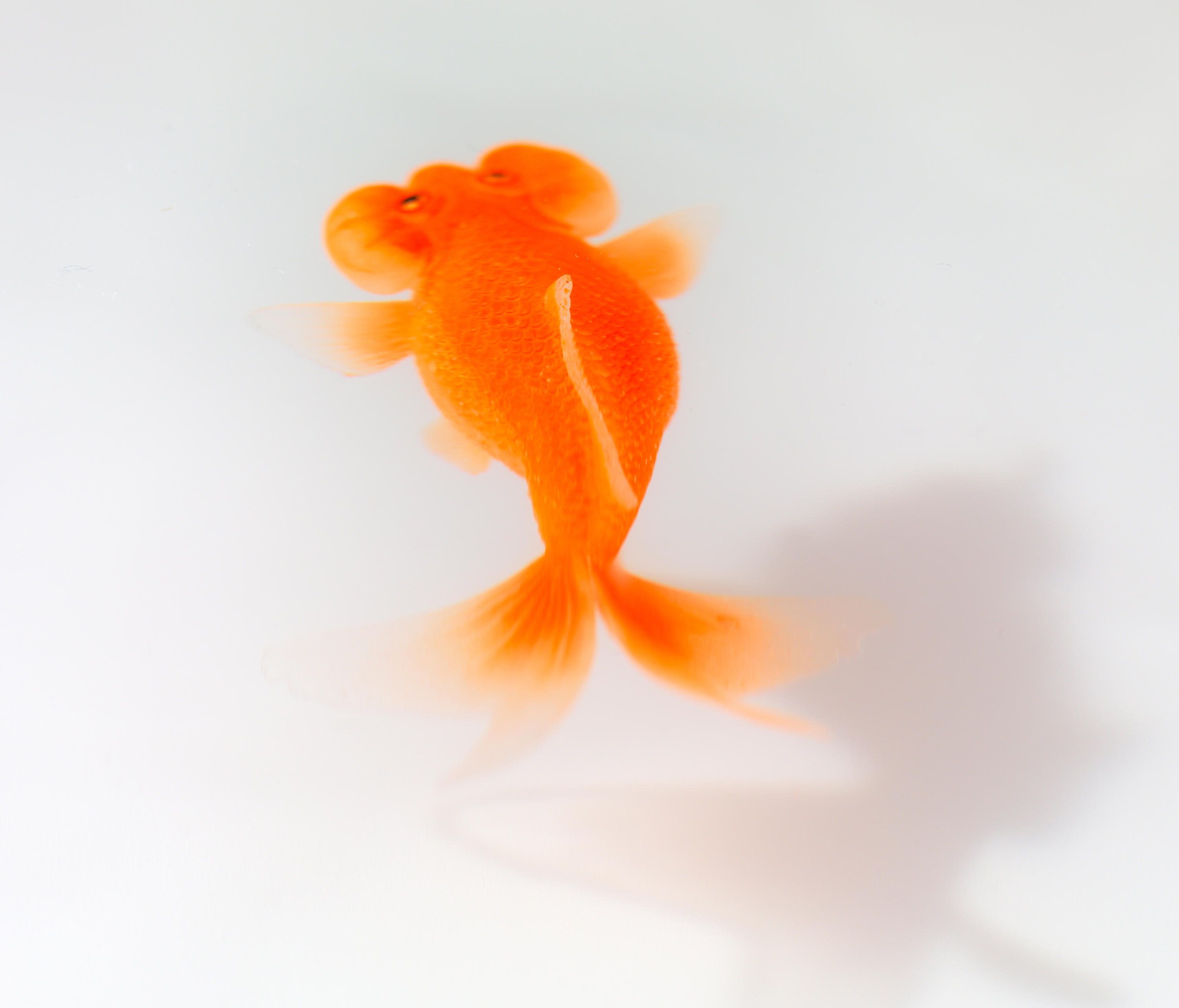 创意火狐官方网站 - 桌几|茶几/边几|办公火狐官方网站|火狐HUOHU（中国）火狐官方网站|Up in the Air 茶几/角几