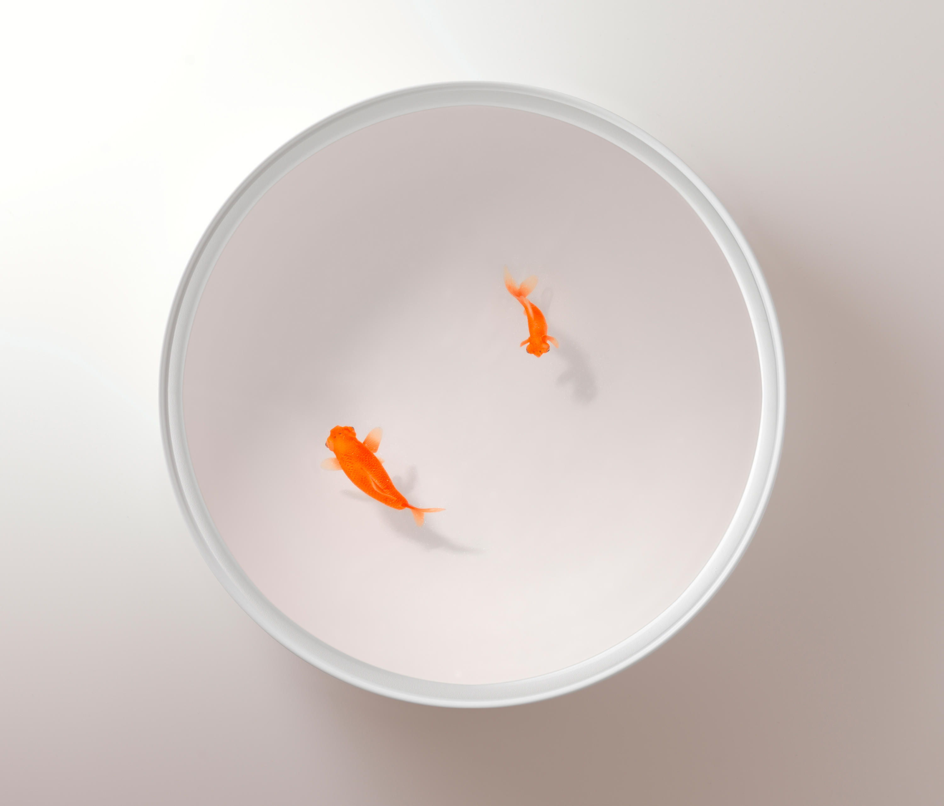 创意火狐官方网站 - 桌几|茶几/边几|办公火狐官方网站|火狐HUOHU（中国）火狐官方网站|Up in the Air 茶几/角几