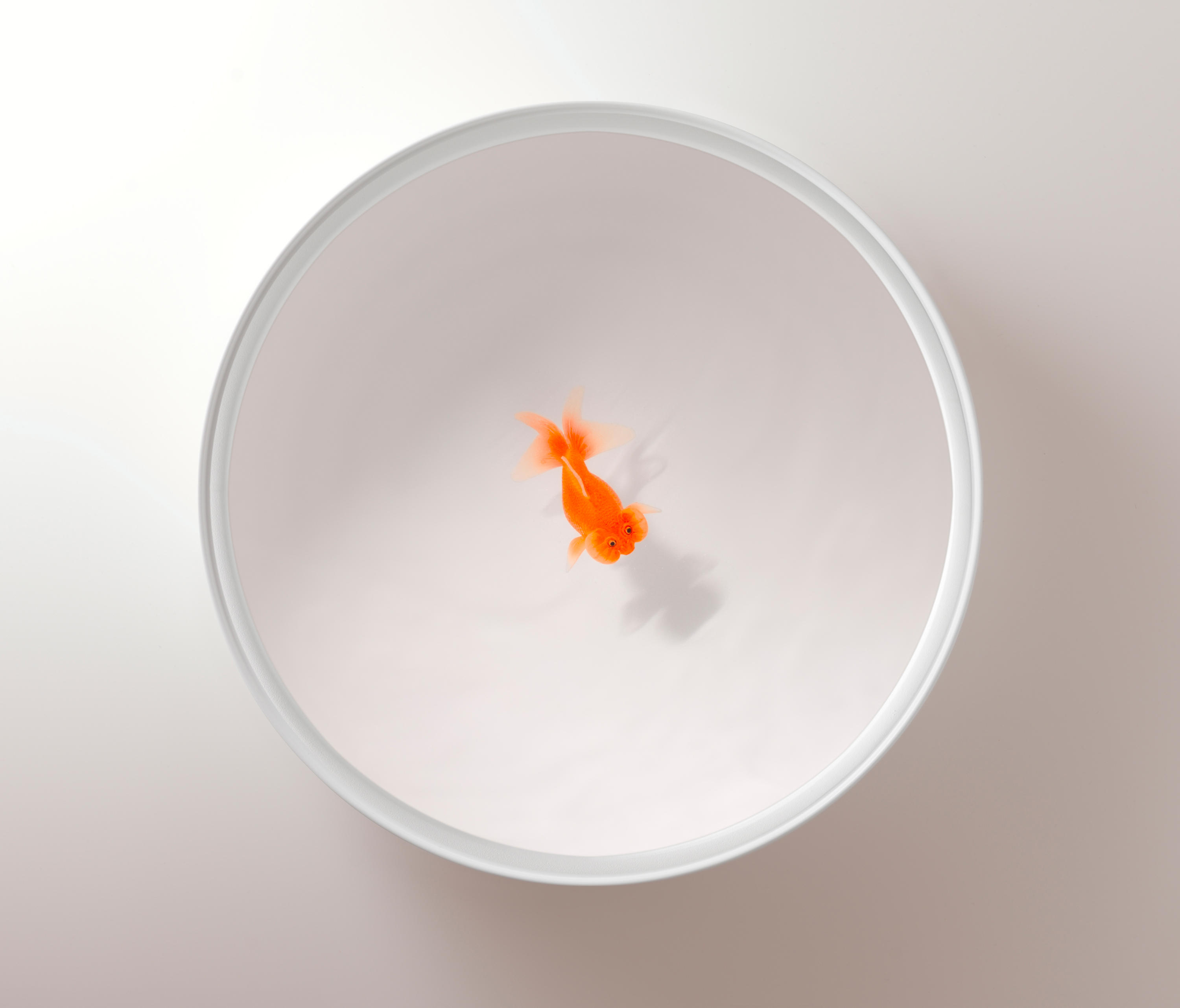 创意火狐官方网站 - 桌几|茶几/边几|办公火狐官方网站|火狐HUOHU（中国）火狐官方网站|Up in the Air 茶几/角几