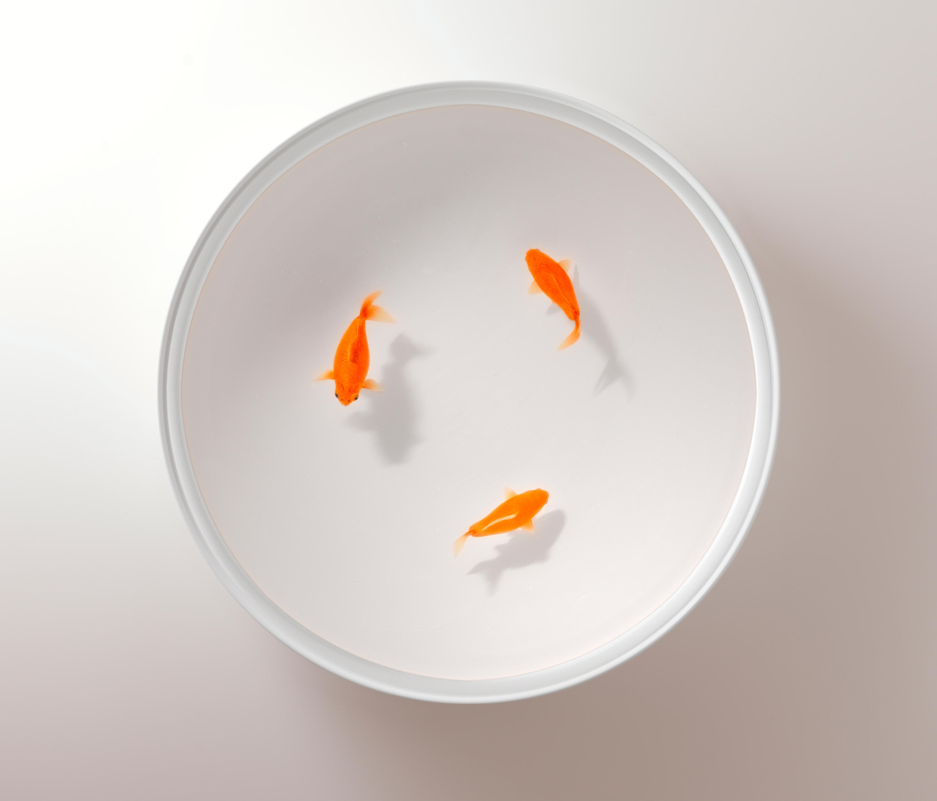 创意火狐官方网站 - 桌几|茶几/边几|办公火狐官方网站|火狐HUOHU（中国）火狐官方网站|Up in the Air 茶几/角几