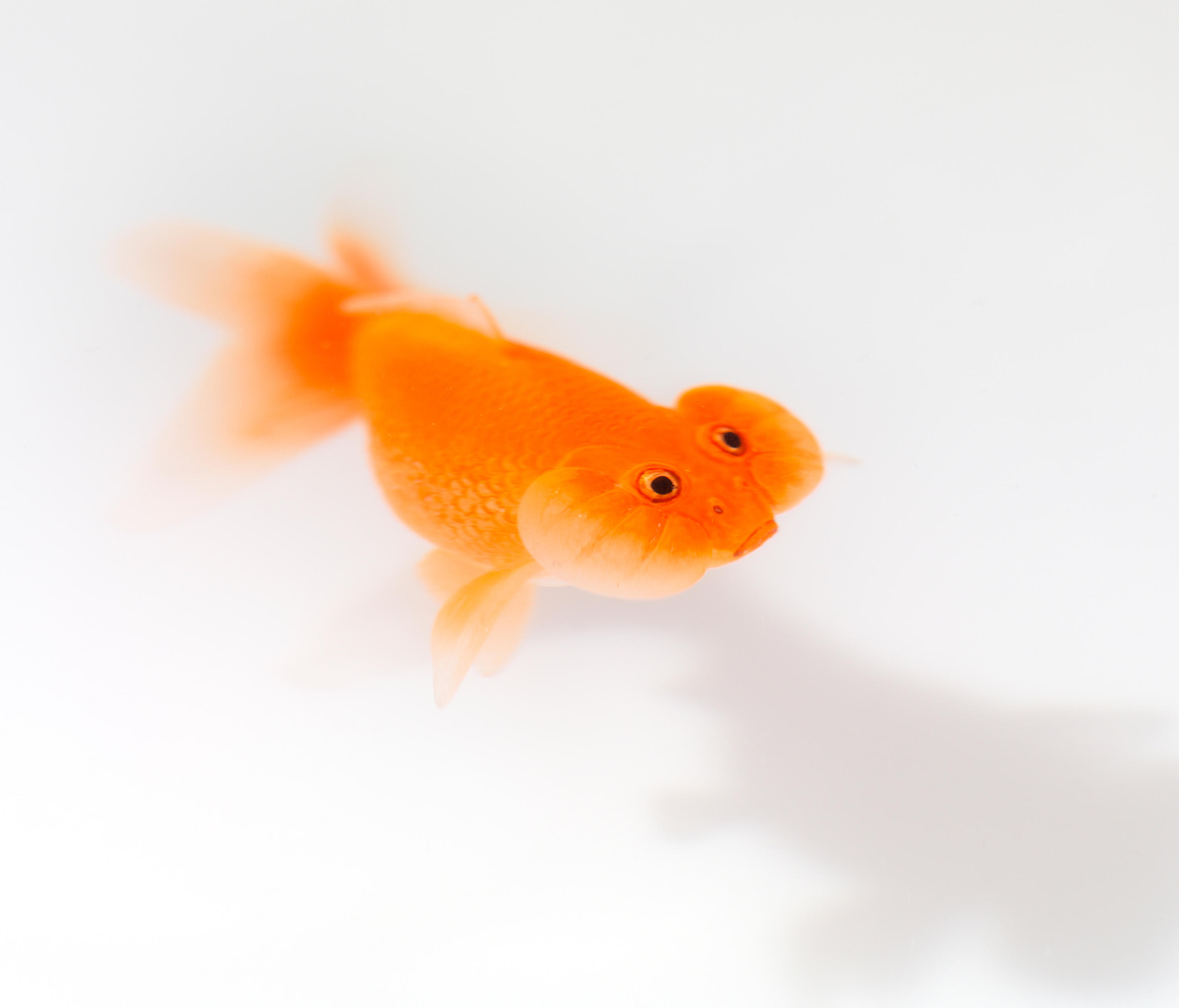 创意火狐官方网站 - 桌几|茶几/边几|办公火狐官方网站|火狐HUOHU（中国）火狐官方网站|Up in the Air 茶几/角几