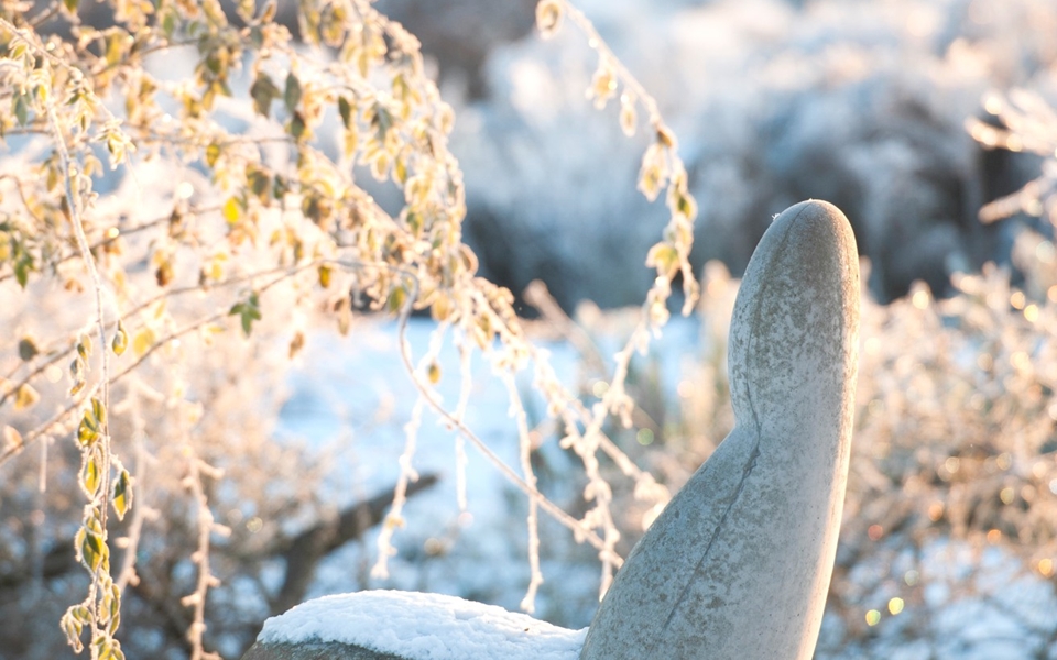 创意火狐官方网站 - 坐具|沙发|办公火狐官方网站|火狐HUOHU（中国）火狐官方网站|Oppo  沙发椅