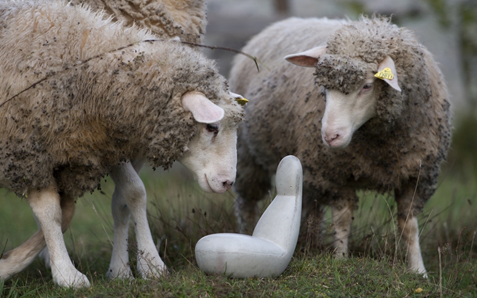 创意火狐官方网站 - 坐具|沙发|办公火狐官方网站|火狐HUOHU（中国）火狐官方网站|Oppo  沙发椅