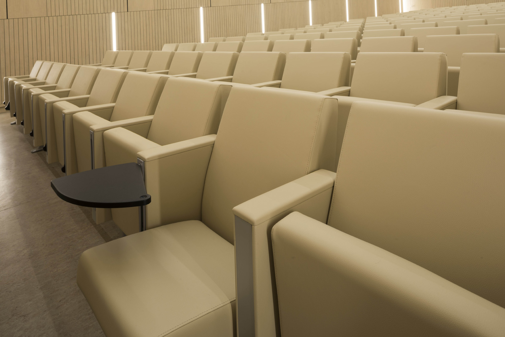 公共座椅|礼堂椅、报告厅椅|办公火狐官方网站|火狐HUOHU（中国）火狐官方网站|C100 剧院/礼堂椅