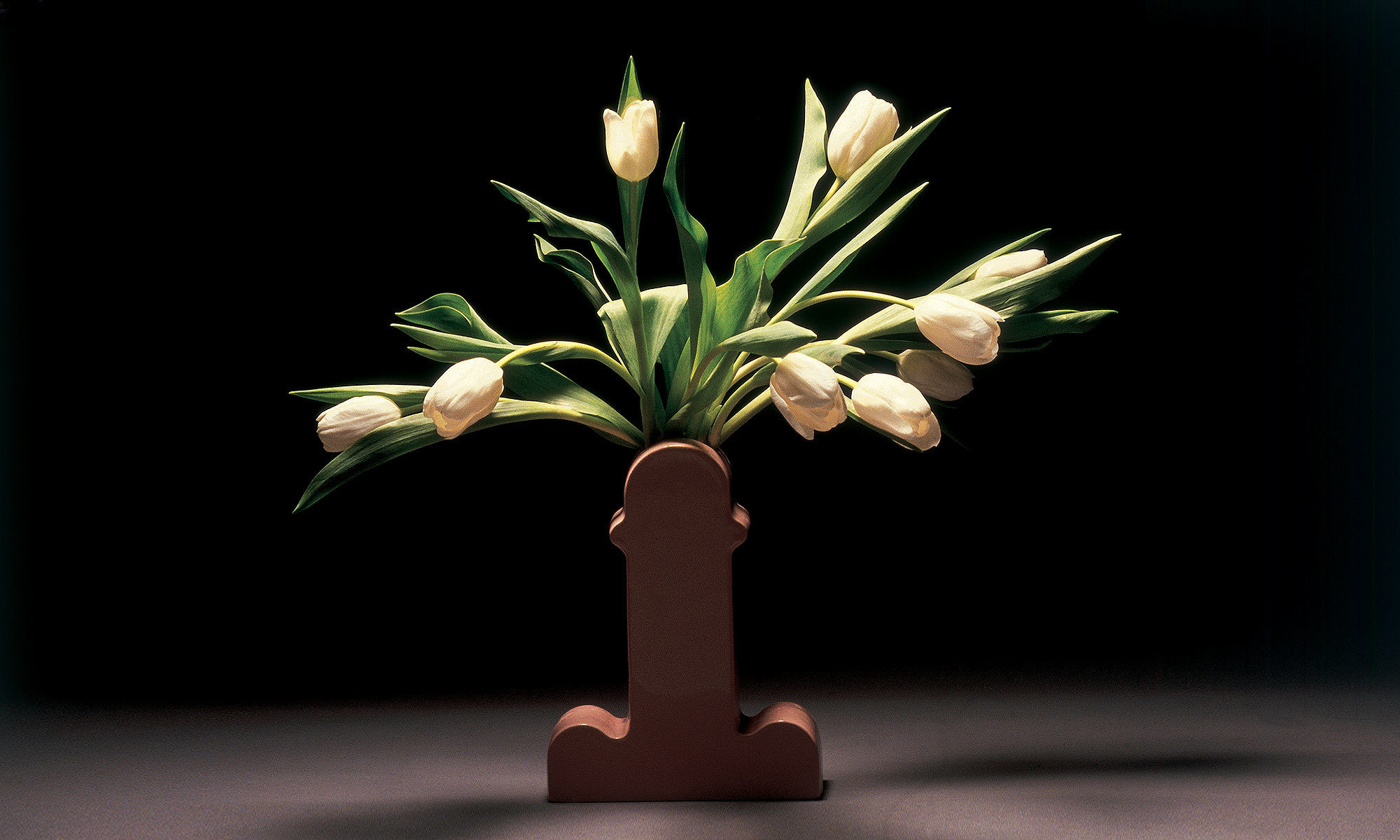 创意火狐官方网站 - 附件|花器|办公火狐官方网站|火狐HUOHU（中国）火狐官方网站|SHIVA  花瓶/饰品