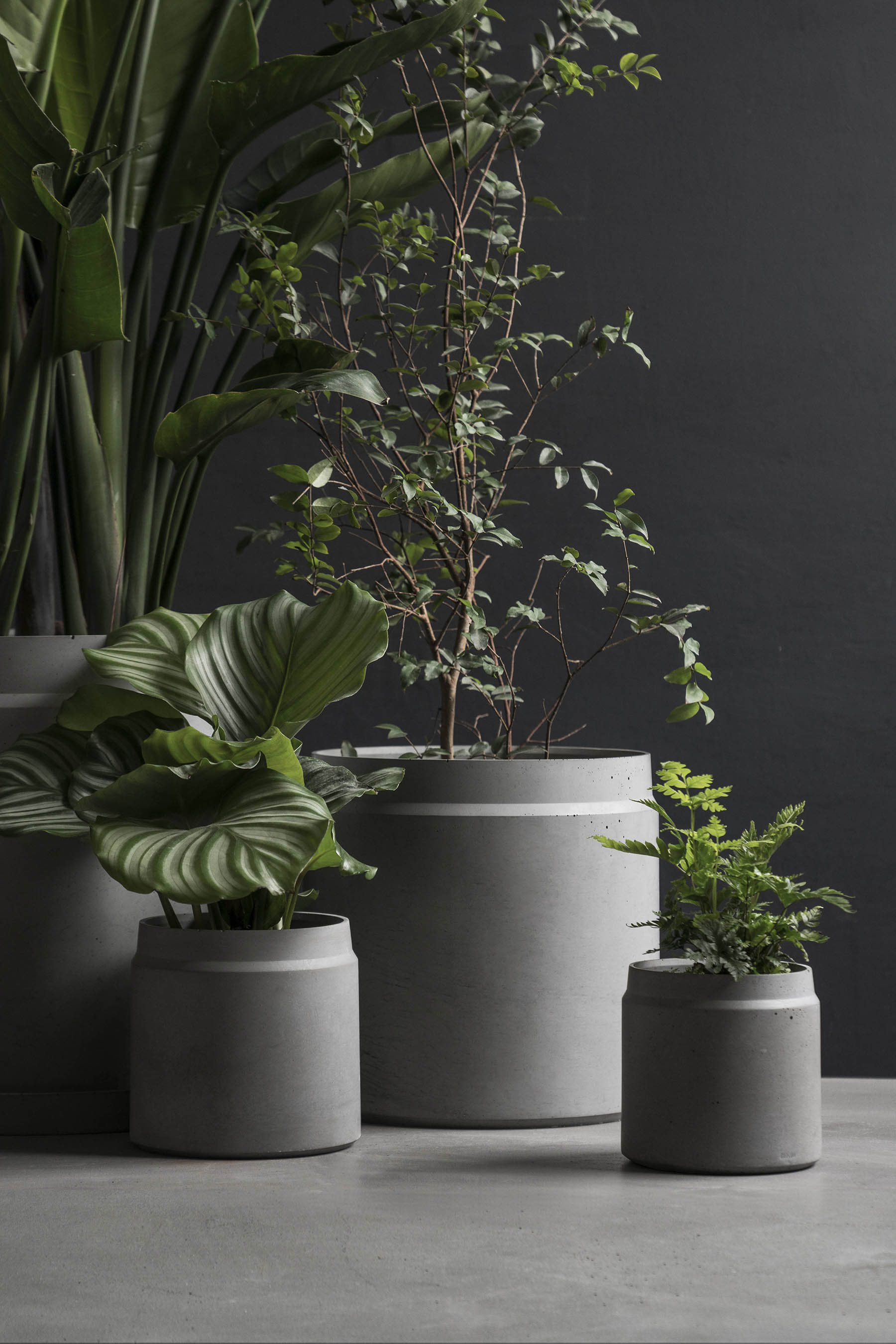 创意火狐官方网站 - 附件|花器|办公火狐官方网站|火狐HUOHU（中国）火狐官方网站|花钵-圆