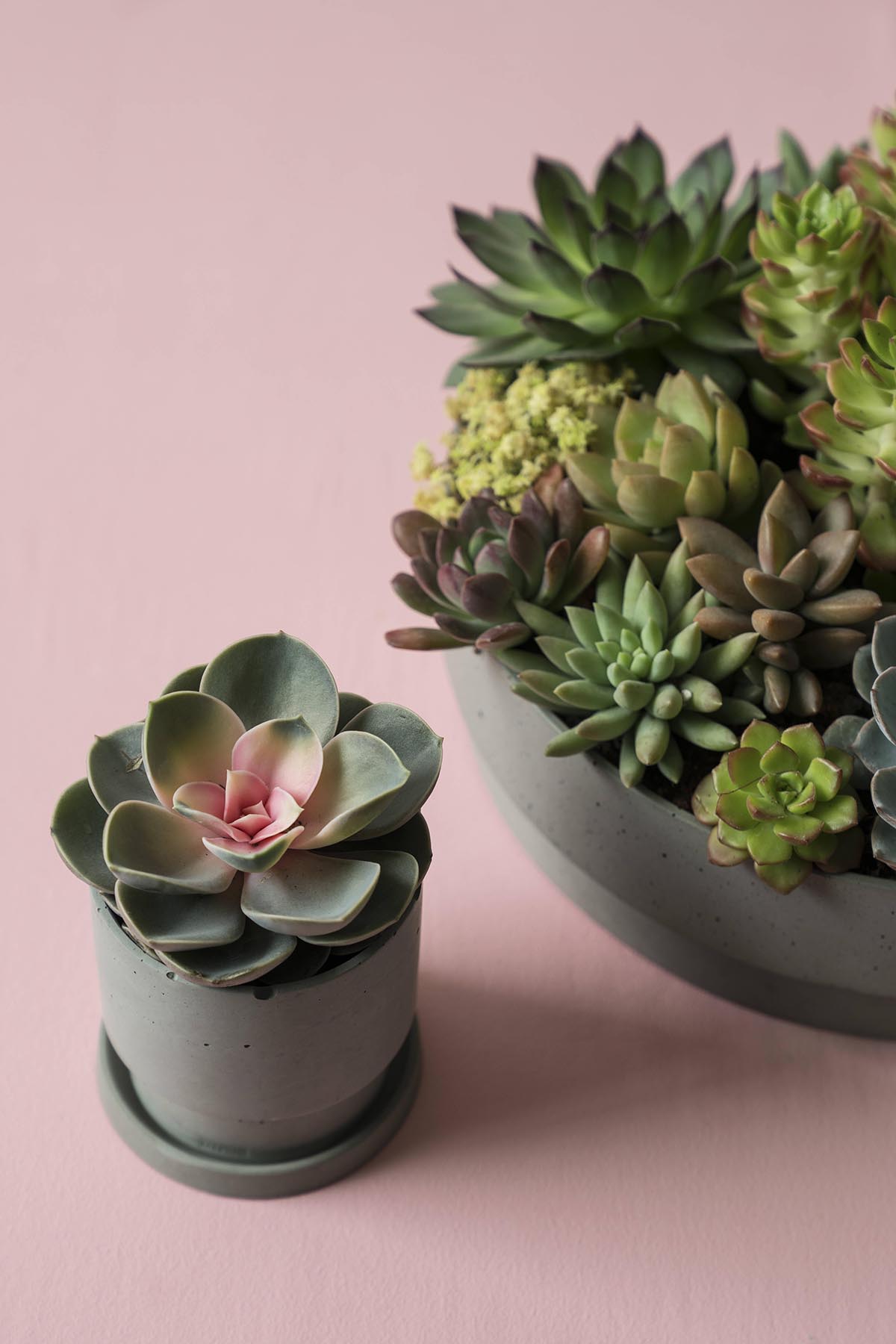 创意火狐官方网站 - 附件|花器|办公火狐官方网站|火狐HUOHU（中国）火狐官方网站|花钵/蜡烛台-息