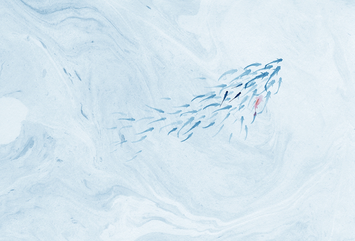 创意火狐官方网站 - 附件|装饰画/墙饰|办公火狐官方网站|火狐HUOHU（中国）火狐官方网站|鲤鱼溪Ⅱ-原创定制壁画