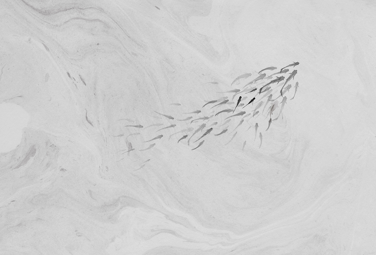 创意火狐官方网站 - 附件|装饰画/墙饰|办公火狐官方网站|火狐HUOHU（中国）火狐官方网站|鲤鱼溪Ⅱ-原创定制壁画